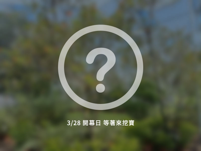 主題館 形象佔圖